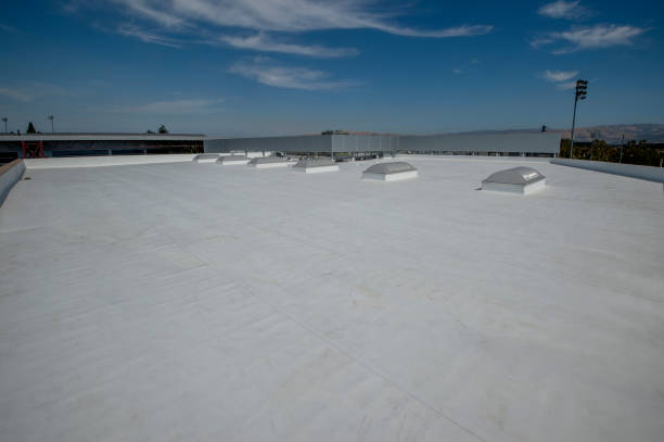 Best Storm Damage Roof Repair  in Chapel Hill, NC
