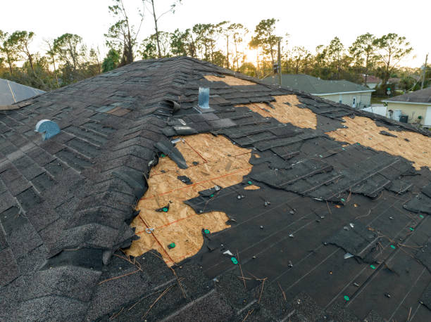 Best Solar Panel Roofing Installation  in Chapel Hill, NC